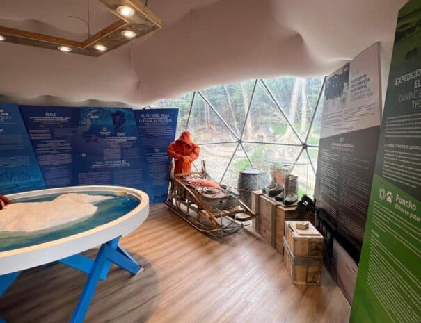 FULL DAY NIEVE - Imagen 6