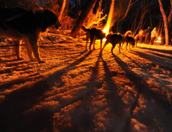 NIEVE & FUEGO - Imagen 14