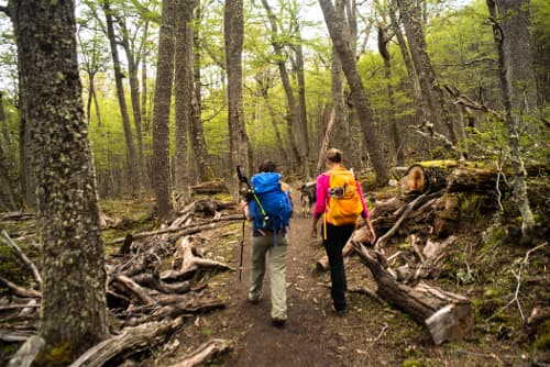 PARQUE TREKKING & CANOAS - Imagen 9