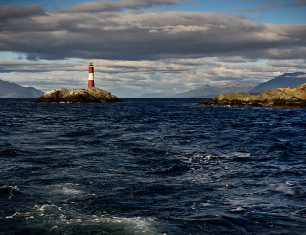 PINGUINERA ISLA MARTILLO - Imagen 8